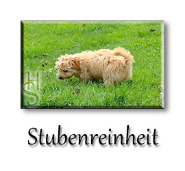 03 Stubenreinheit effects