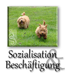 05 Sozialisation & Beschftigung effects